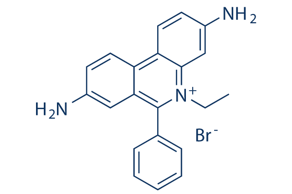 Ethidium bromide化学構造