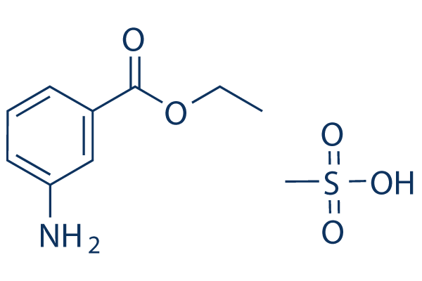 Ethyl 3-Aminobenzoate methanesulfonate化学構造