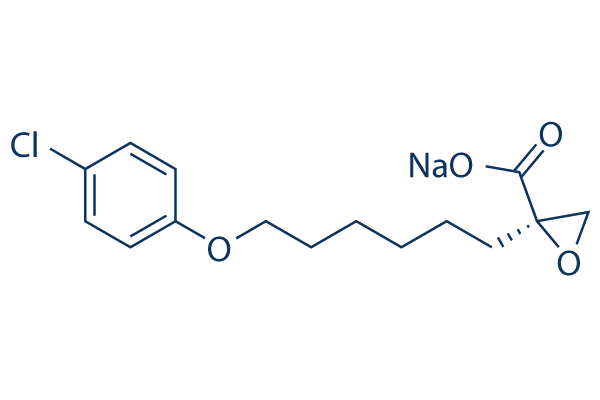 Etomoxir sodium salt化学構造