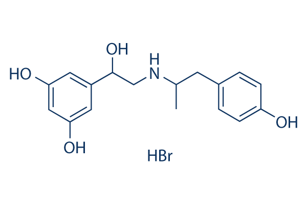 Fenoterol hydrobromide化学構造