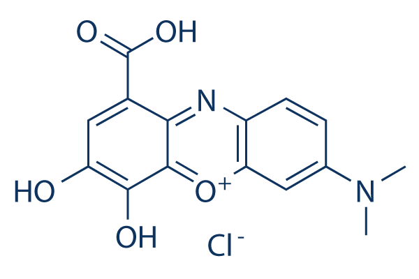 Gallocyanine化学構造