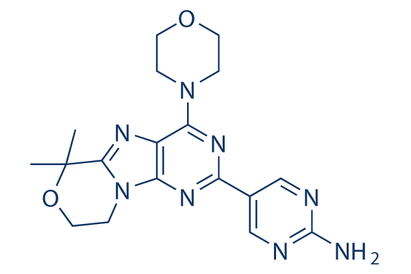 Paxalisib (GDC-0084)化学構造