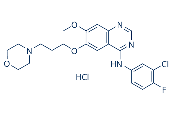 Gefitinib hydrochloride化学構造