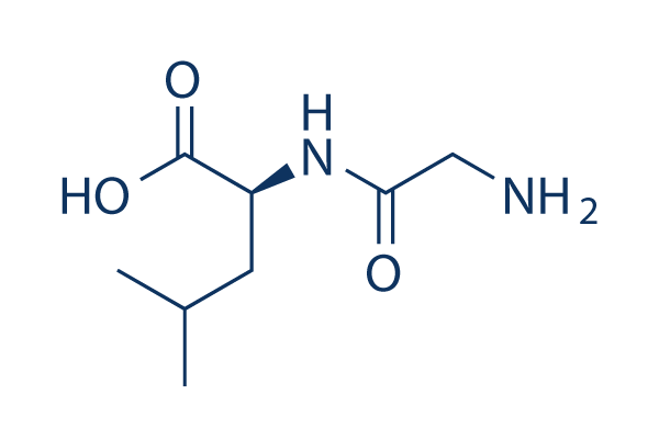 Glycyl-L-leucine化学構造