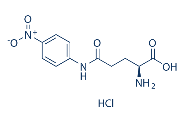 GPNA (L-γ-Glutamyl-p-nitroanilide)化学構造