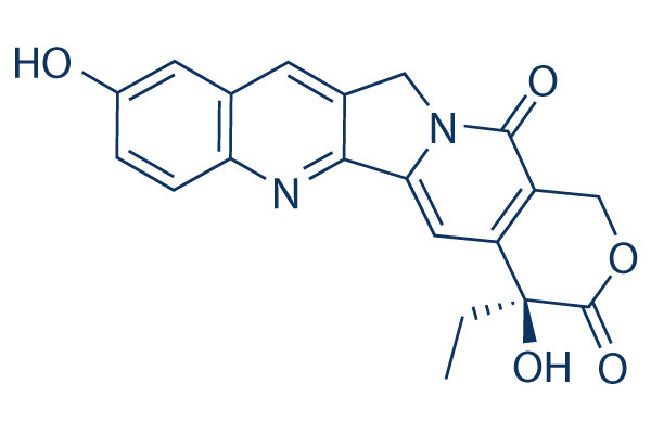 Hydroxy Camptothecine化学構造