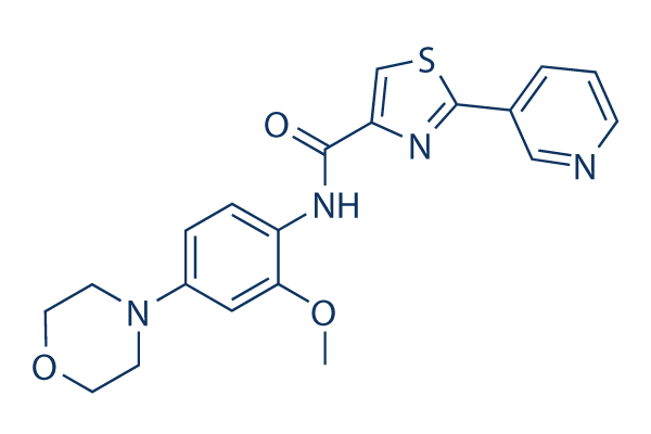 IRAK inhibitor 6化学構造