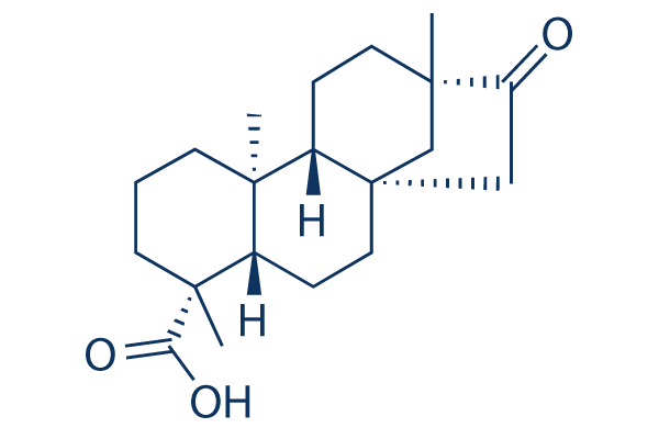 Iso-Steviol化学構造