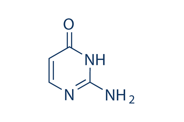 Isocytosine化学構造