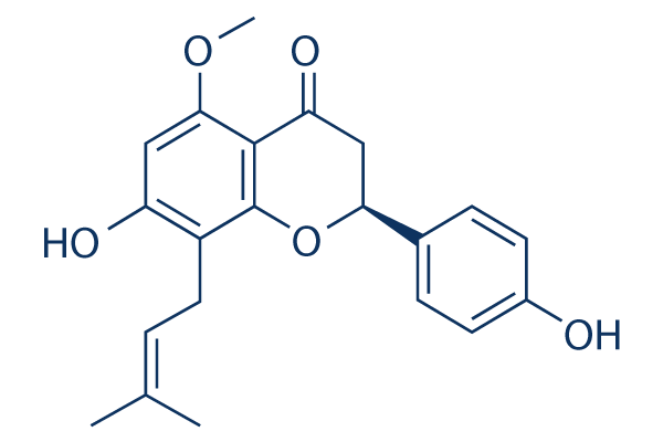 Isoxanthohumol化学構造