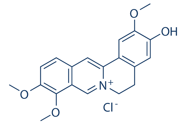 Jatrorrhizine chloride化学構造