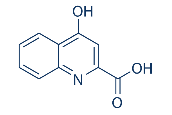 Kynurenic acid化学構造