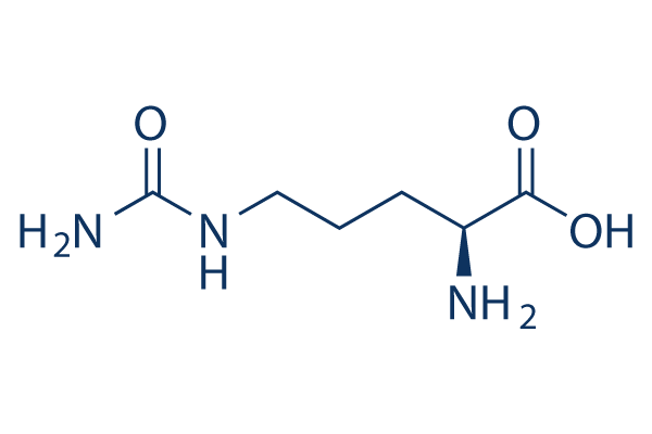 L-Citrulline化学構造