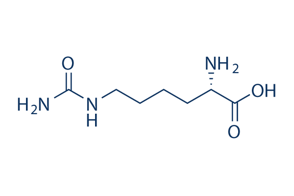 L-Homocitrulline化学構造