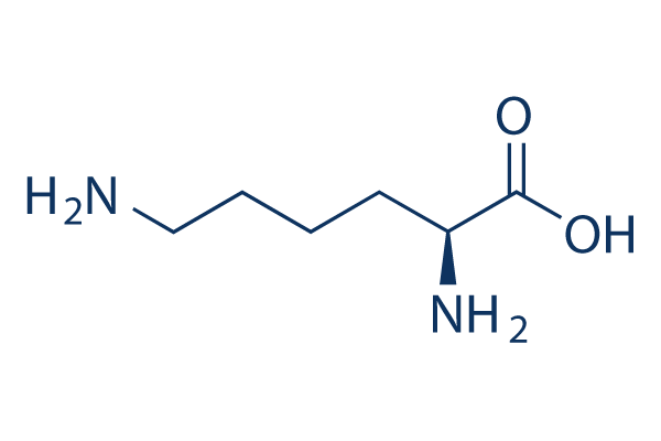 L-lysine化学構造