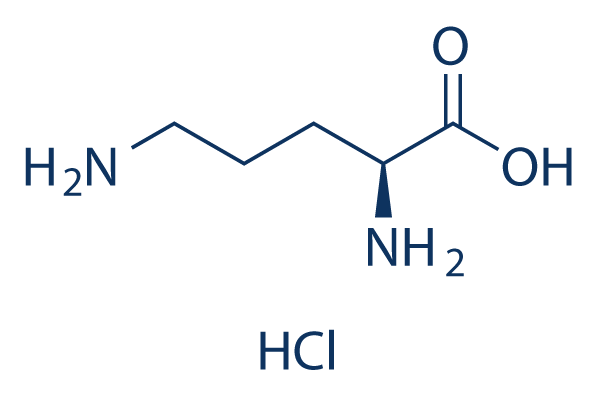 L-Ornithine hydrochloride化学構造