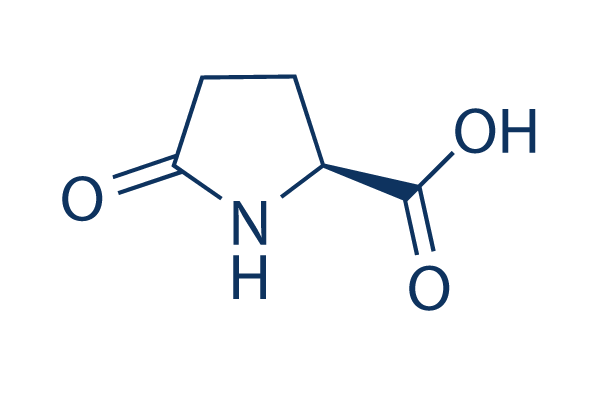 L-Pyroglutamic acid化学構造