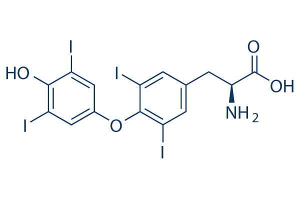 L-Thyroxine (Levothyroxine)化学構造