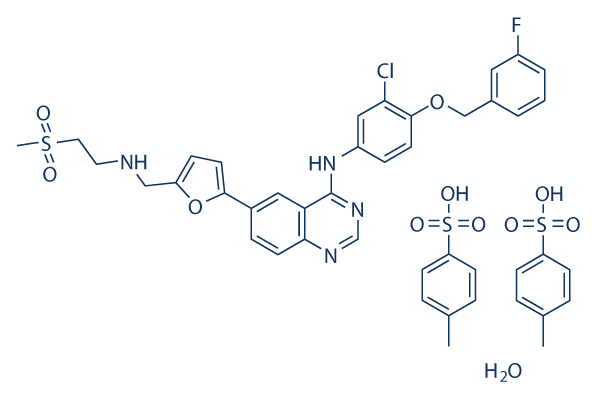 Lapatinib ditosylate monohydrate化学構造