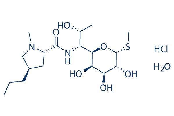 Lincomycin Hydrochloride Monohydrate化学構造