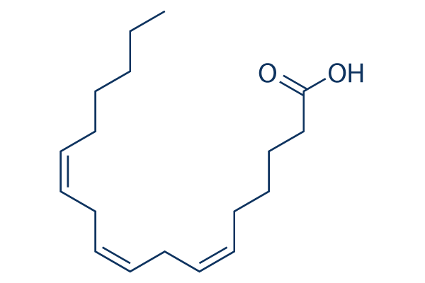 γ-Linolenic acid化学構造