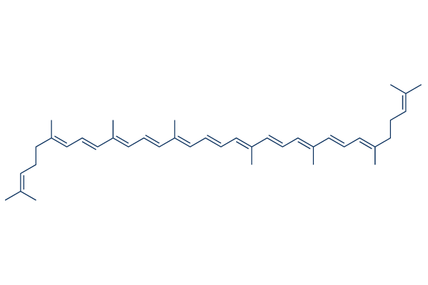 Lycopene化学構造