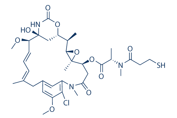 DM1 (Mertansine)化学構造