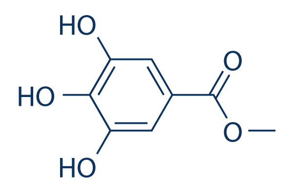 Methyl gallate化学構造