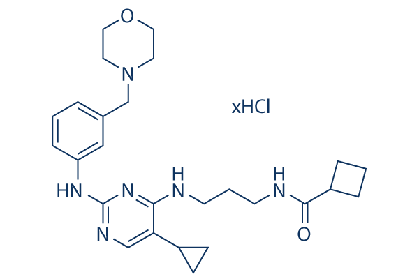 MRT67307 HCl化学構造