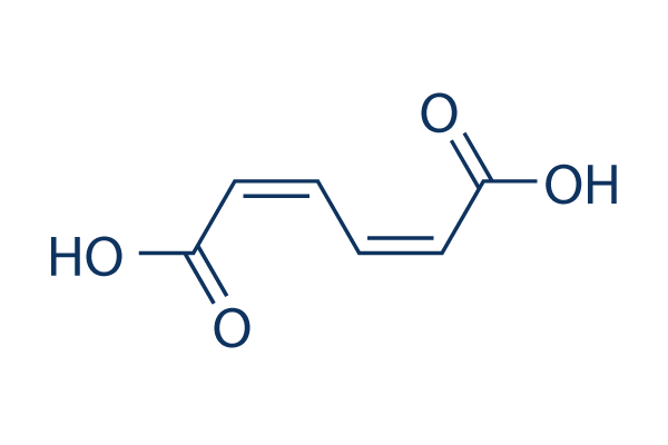 cis,cis-Muconic acid化学構造