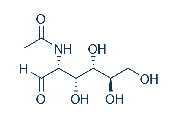 N-Acetylglucosamine化学構造