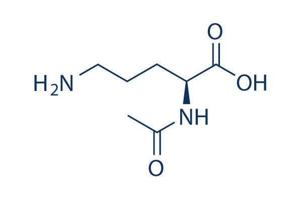 N-Acetylornithine化学構造