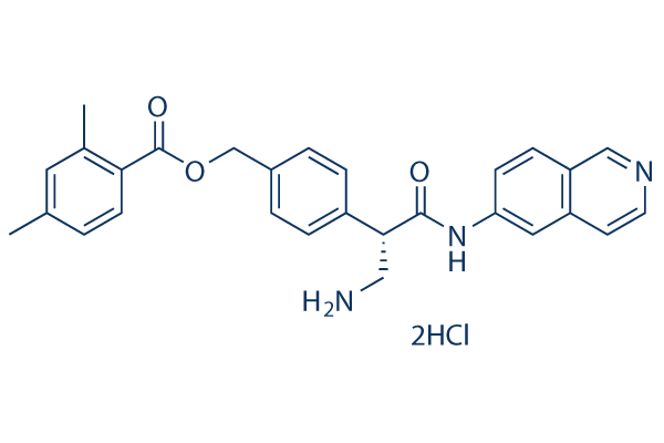 Netarsudil (AR-13324) 2HCl化学構造