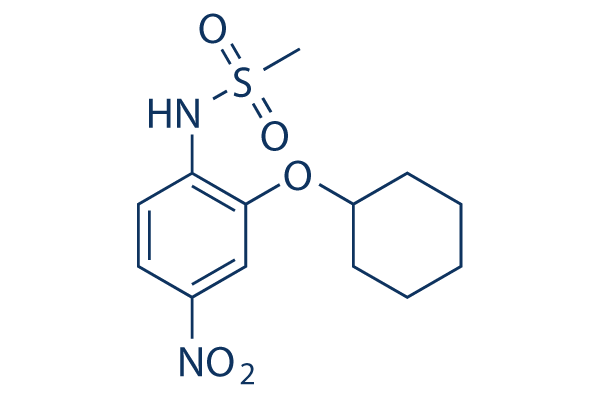 NS-398 (NS398)化学構造