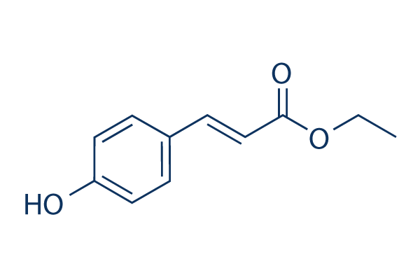 p-Coumaric acid ethyl ester化学構造
