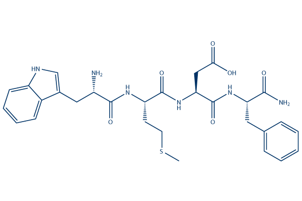 Gastrin Tetrapeptide化学構造