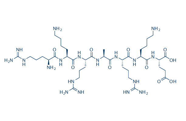 PKG inhibitor peptide化学構造