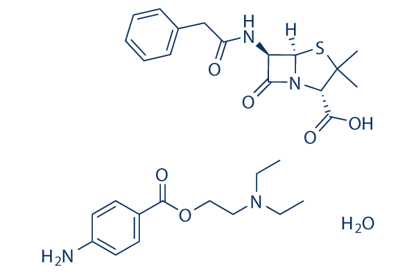 Penicillin G Procaine化学構造
