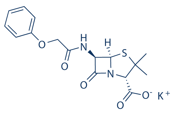Penicillin V potassium salt化学構造