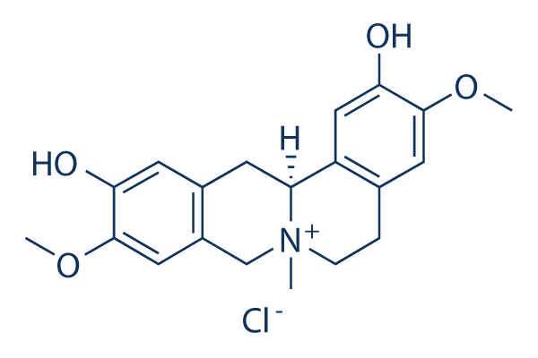 Phellodendrine chloride化学構造
