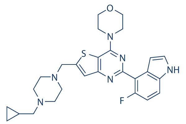 PI-3065化学構造