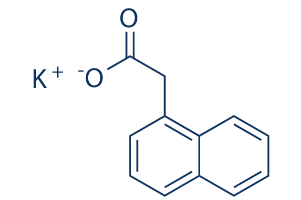 Potassium 1-Naphthaleneacetate化学構造
