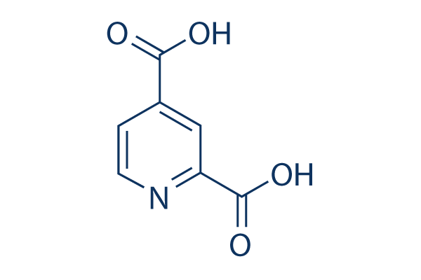 2,4-Pyridinedicarboxylic acid化学構造