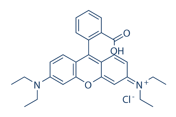 Rhodamine B化学構造