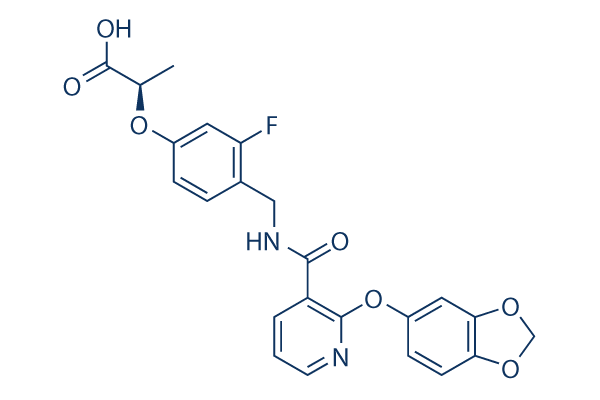 CP-671305化学構造