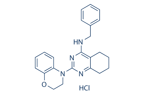 ML241 hydrochloride化学構造