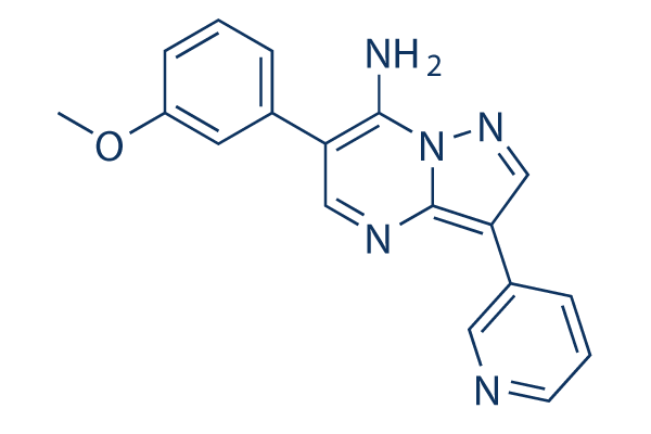 Ehp-inhibitor-1化学構造