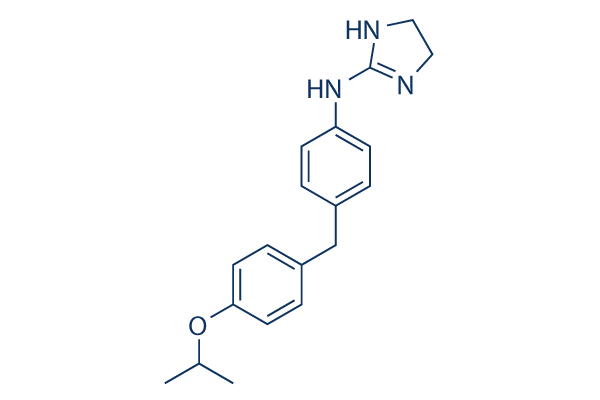 RO1138452化学構造