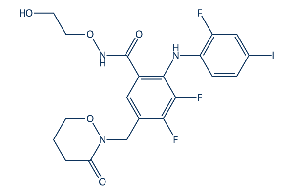 RO4987655化学構造