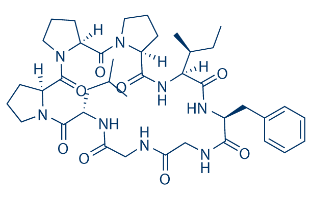 Heterophyllin B化学構造